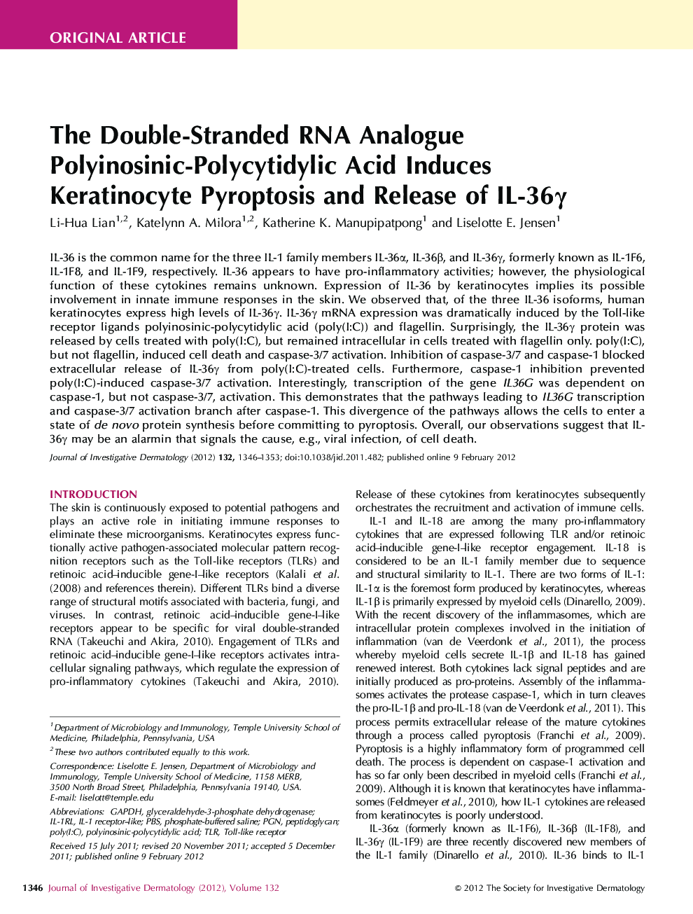 The Double-Stranded RNA Analogue Polyinosinic-Polycytidylic Acid Induces Keratinocyte Pyroptosis and Release of IL-36γ 