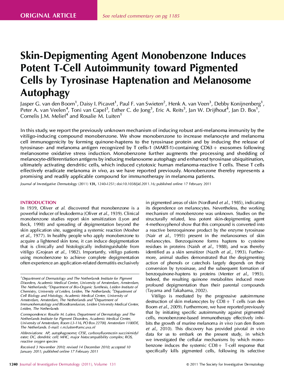 Skin-Depigmenting Agent Monobenzone Induces Potent T-Cell Autoimmunity toward Pigmented Cells by Tyrosinase Haptenation and Melanosome Autophagy 