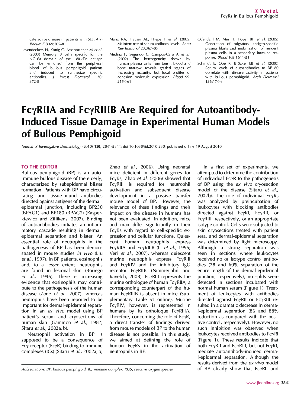 FcÎ³RIIA and FcÎ³RIIIB Are Required for Autoantibody-Induced Tissue Damage in Experimental Human Models of Bullous Pemphigoid