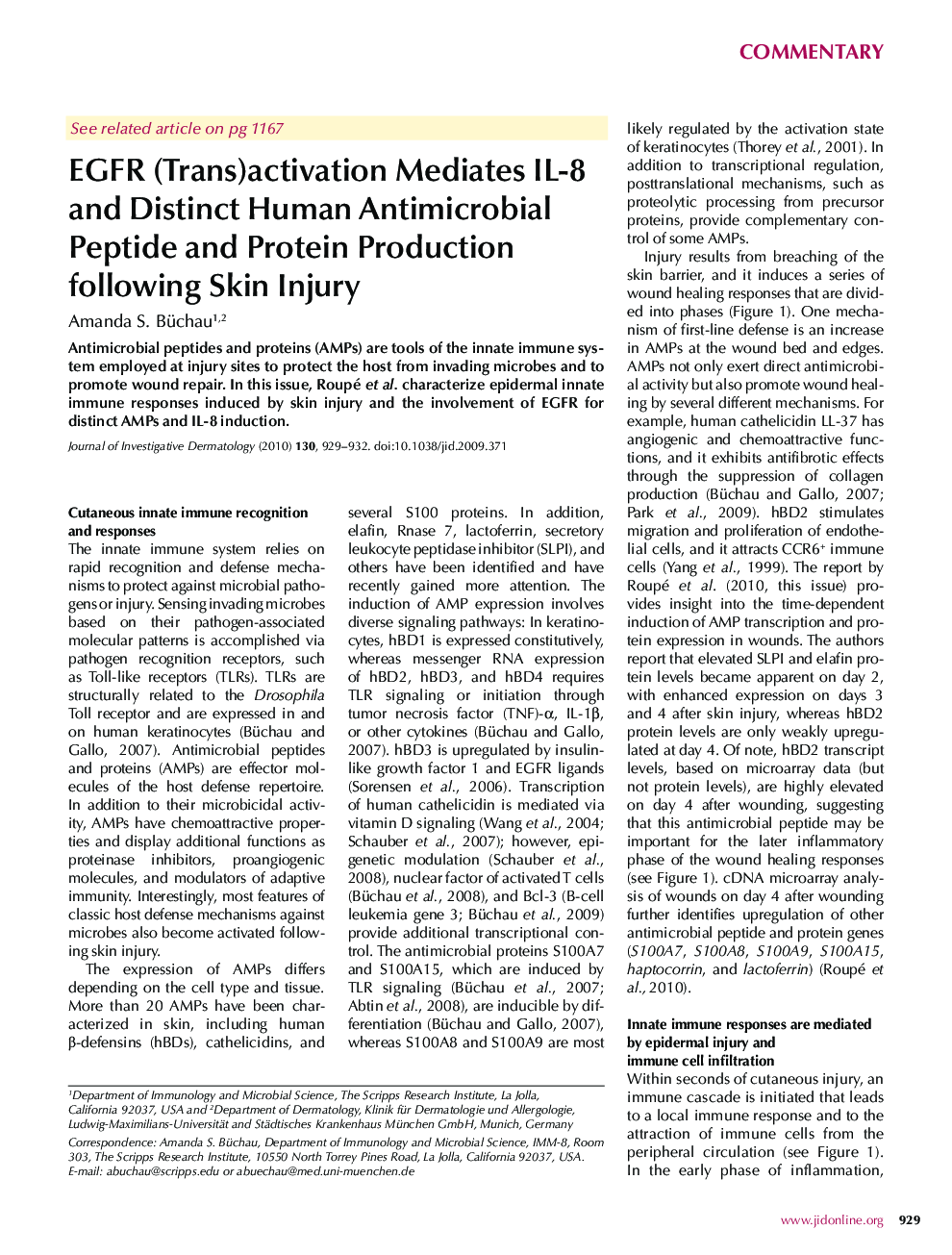 EGFR (Trans)activation Mediates IL-8 and Distinct Human Antimicrobial Peptide and Protein Production following Skin Injury 