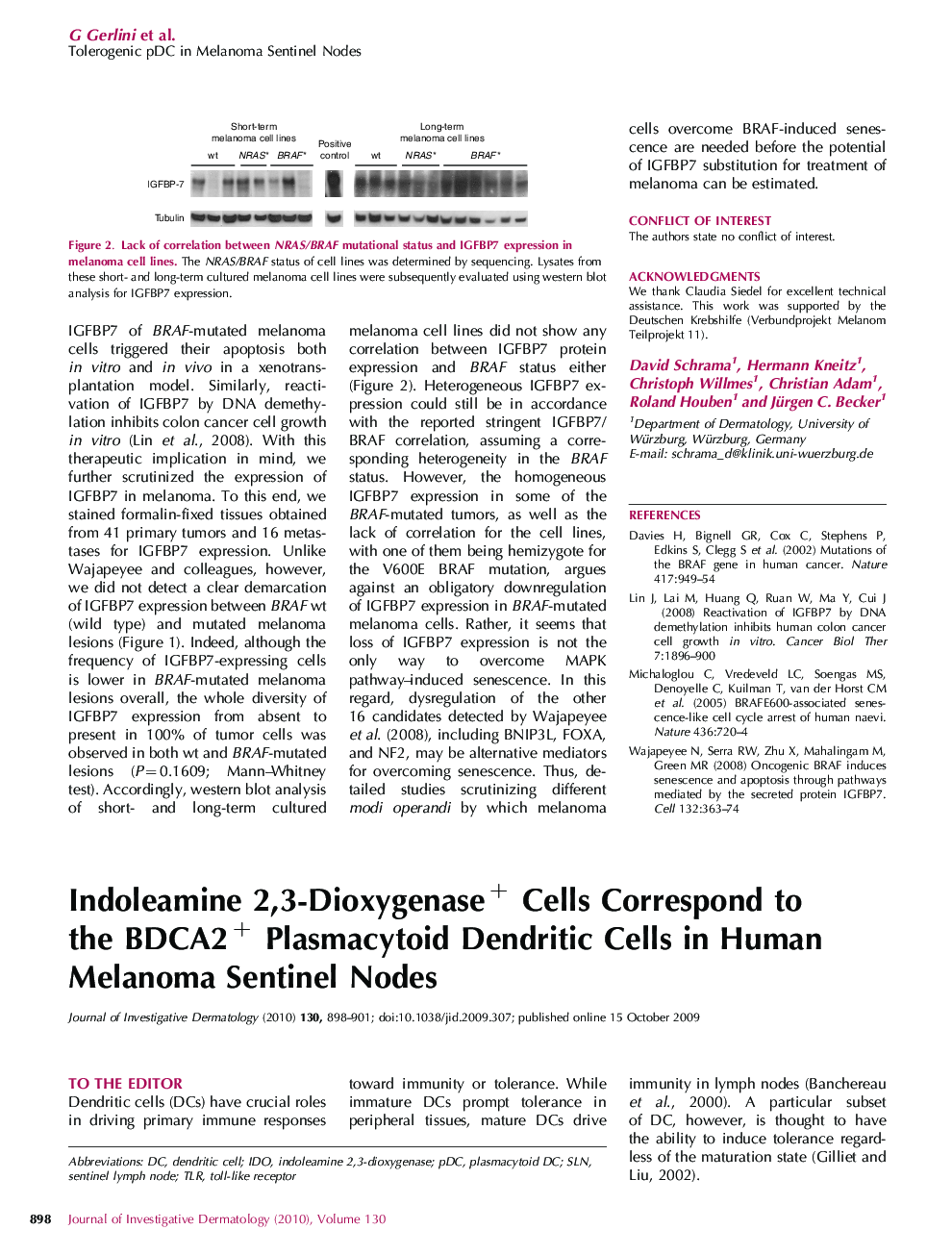 Indoleamine 2,3-Dioxygenase+ Cells Correspond to the BDCA2+ Plasmacytoid Dendritic Cells in Human Melanoma Sentinel Nodes