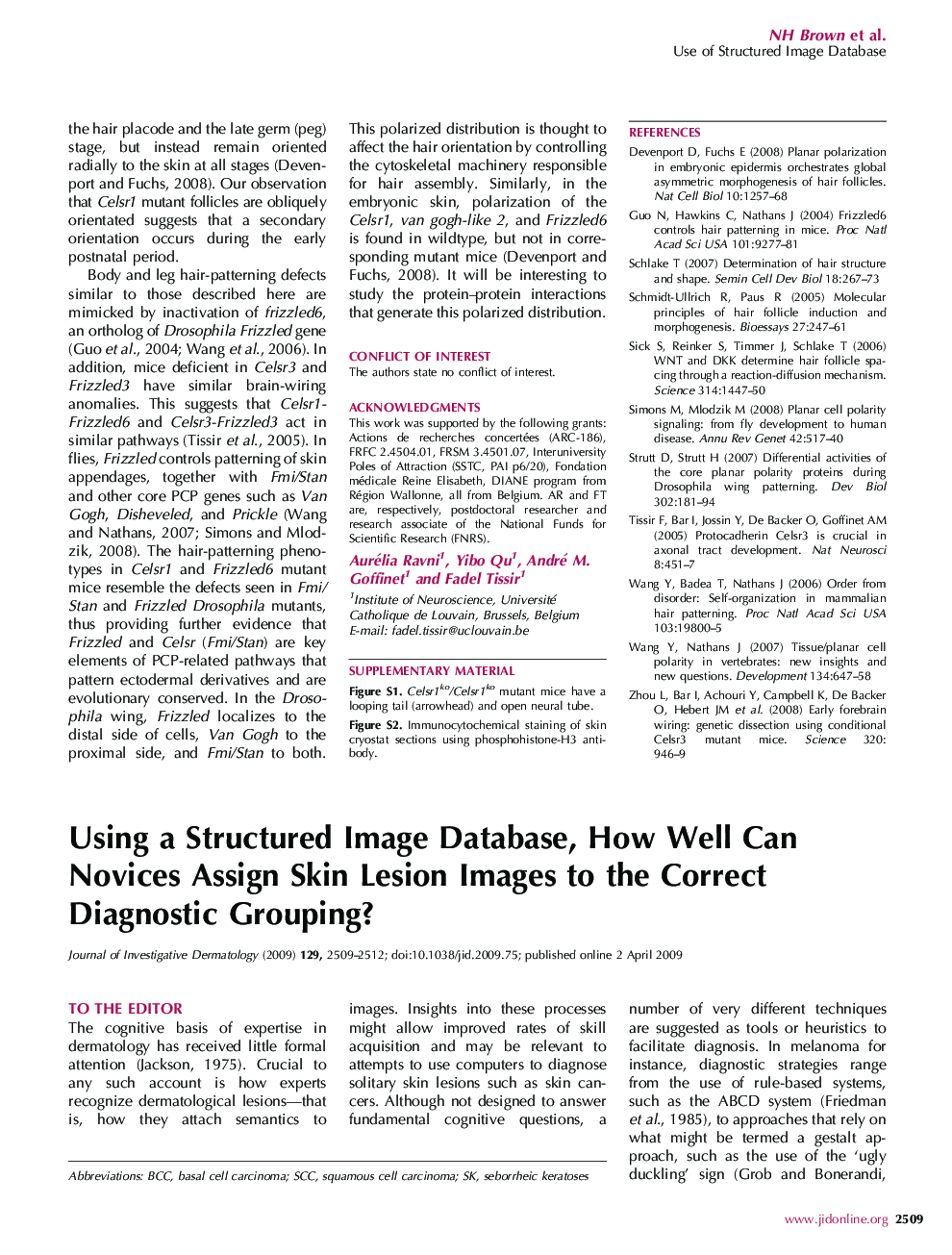 Using a Structured Image Database, How Well Can Novices Assign Skin Lesion Images to the Correct Diagnostic Grouping?