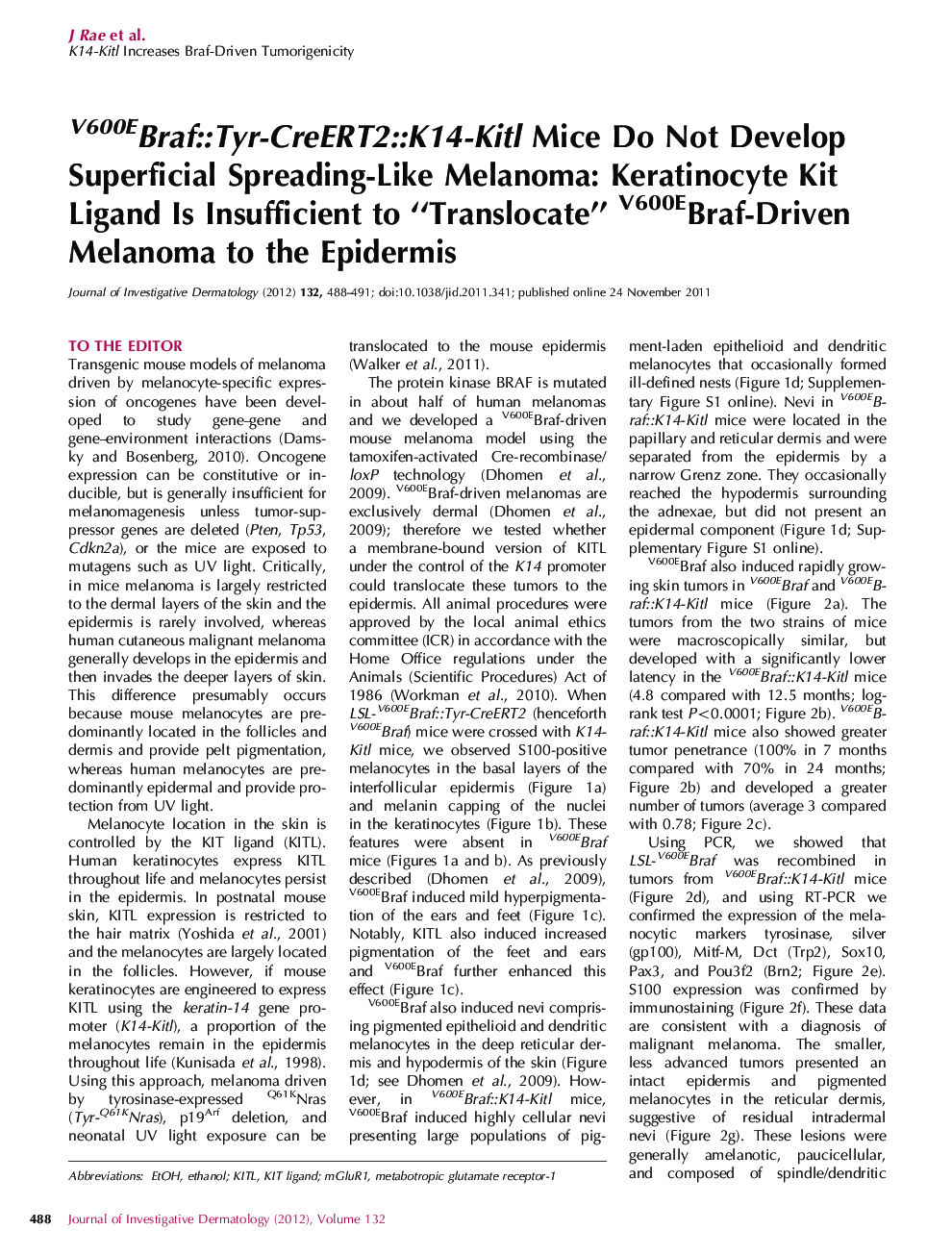 V600EBraf::Tyr-CreERT2::K14-Kitl Mice Do Not Develop Superficial Spreading-Like Melanoma: Keratinocyte Kit Ligand Is Insufficient to “Translocate” V600EBraf-Driven Melanoma to the Epidermis