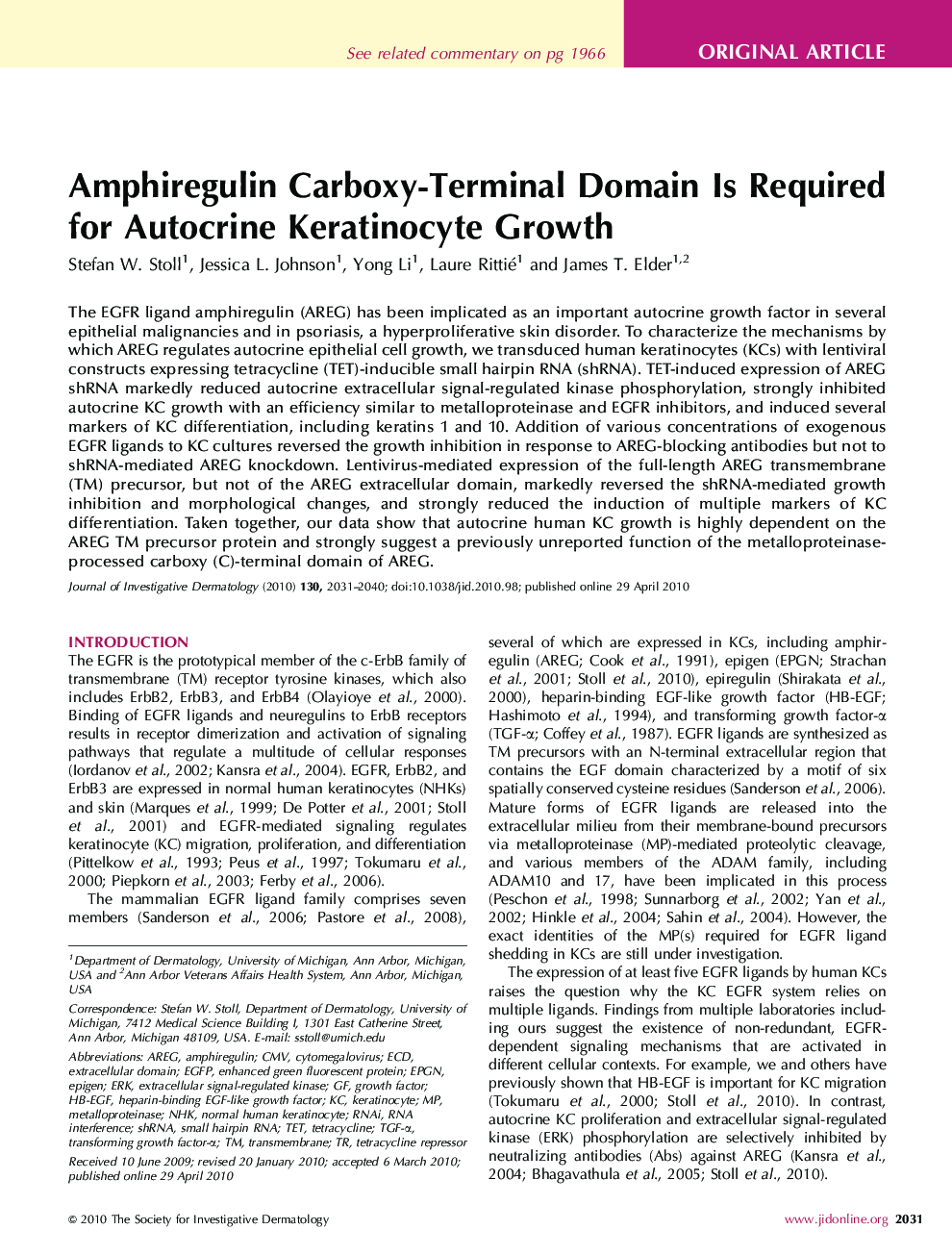 Amphiregulin Carboxy-Terminal Domain Is Required for Autocrine Keratinocyte Growth 