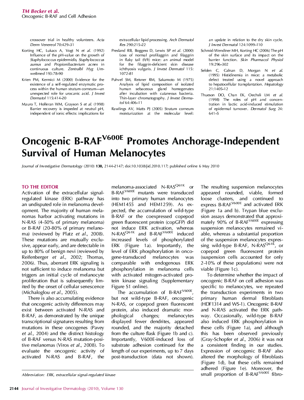 Oncogenic B-RAFV600E Promotes Anchorage-Independent Survival of Human Melanocytes
