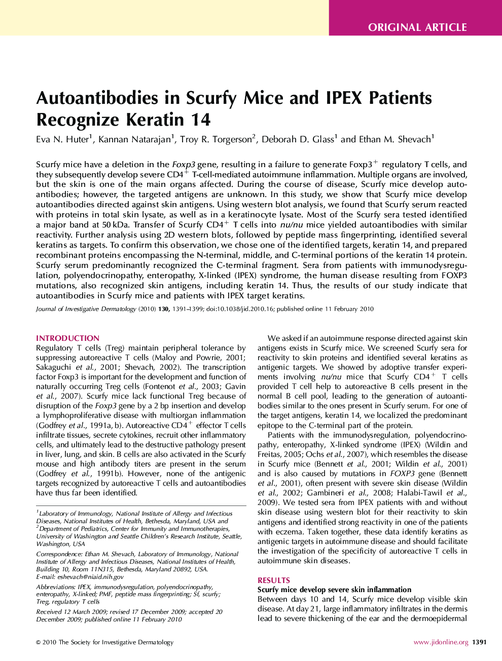 Autoantibodies in Scurfy Mice and IPEX Patients Recognize Keratin 14
