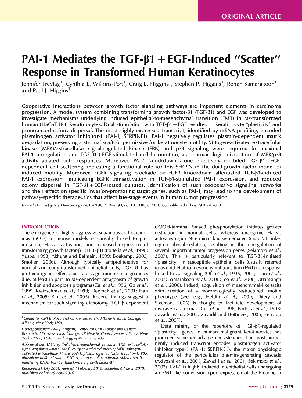 PAI-1 Mediates the TGF-β1+EGF-Induced “Scatter” Response in Transformed Human Keratinocytes 
