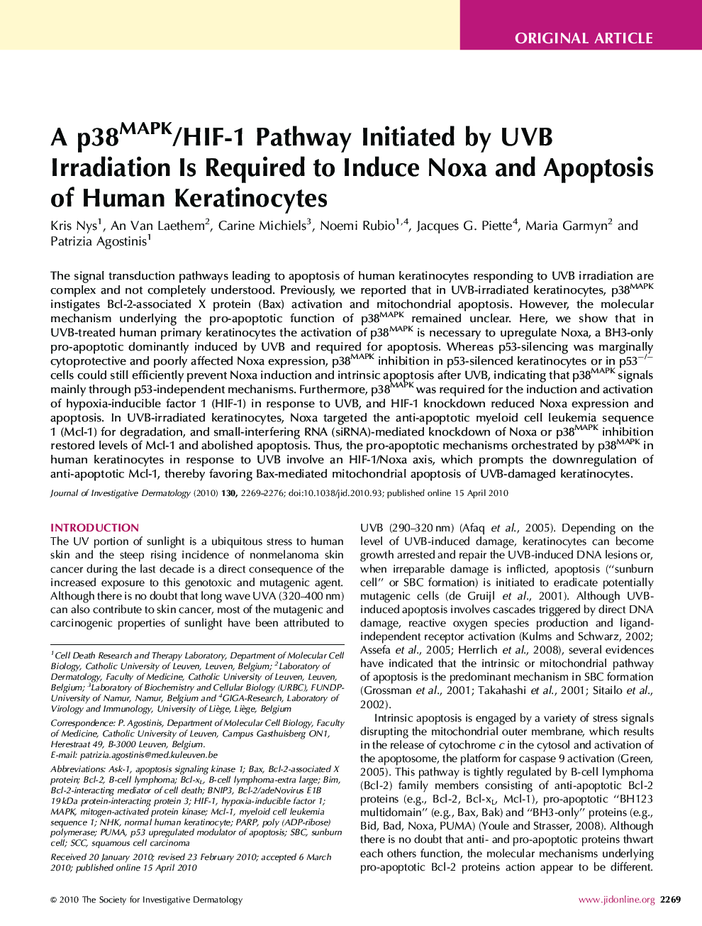 A p38MAPK/HIF-1 Pathway Initiated by UVB Irradiation Is Required to Induce Noxa and Apoptosis of Human Keratinocytes 