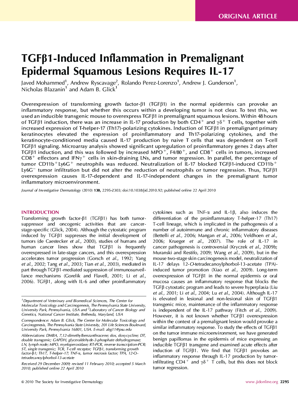 TGFβ1-Induced Inflammation in Premalignant Epidermal Squamous Lesions Requires IL-17 