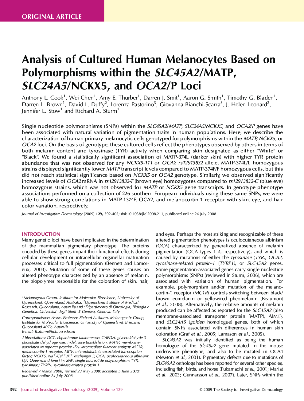 Analysis of Cultured Human Melanocytes Based on Polymorphisms within the SLC45A2/MATP, SLC24A5/NCKX5, and OCA2/P Loci 