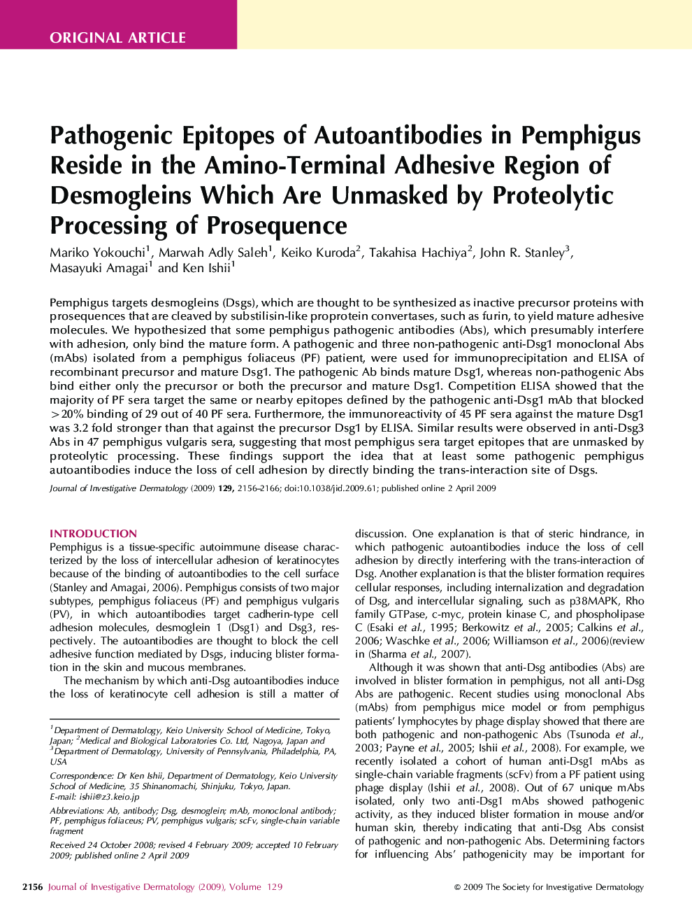 Pathogenic Epitopes of Autoantibodies in Pemphigus Reside in the Amino-Terminal Adhesive Region of Desmogleins Which Are Unmasked by Proteolytic Processing of Prosequence