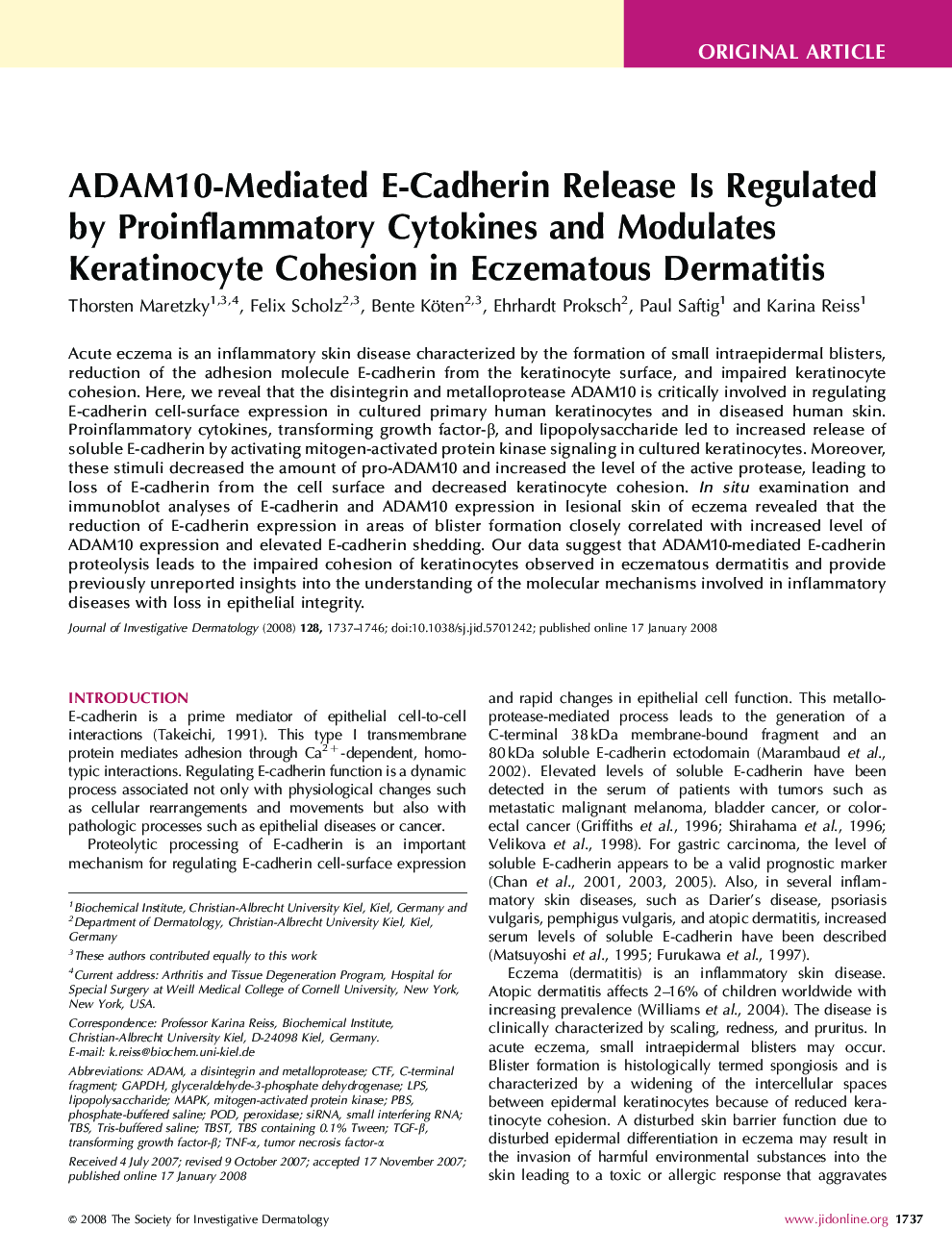 ADAM10-Mediated E-Cadherin Release Is Regulated by Proinflammatory Cytokines and Modulates Keratinocyte Cohesion in Eczematous Dermatitis