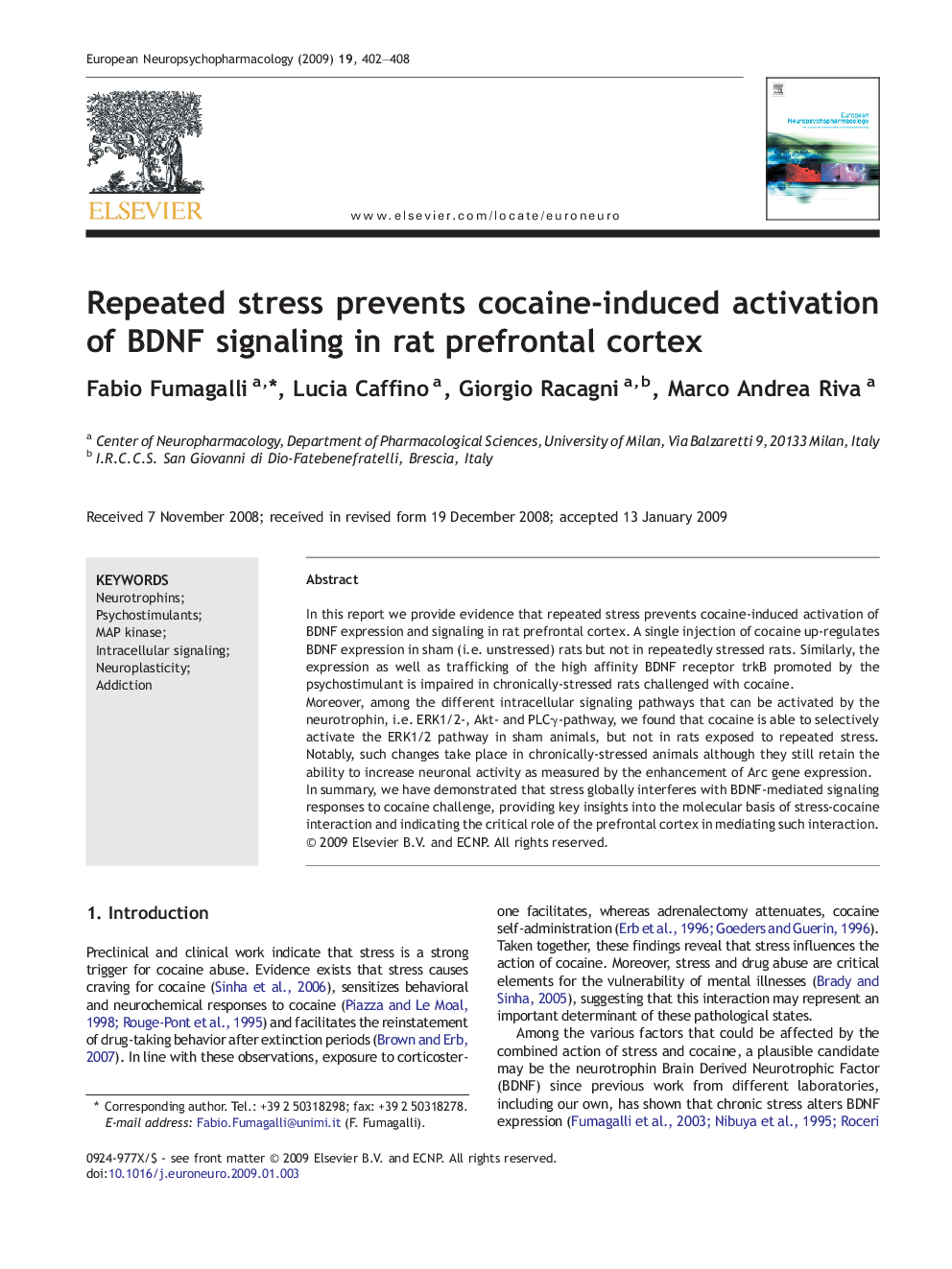 Repeated stress prevents cocaine-induced activation of BDNF signaling in rat prefrontal cortex