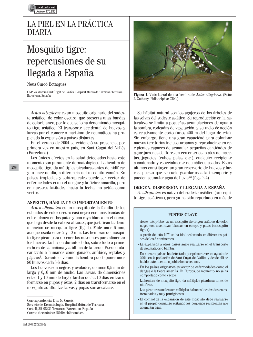 Mosquito tigre: repercusiones de su llegada a España