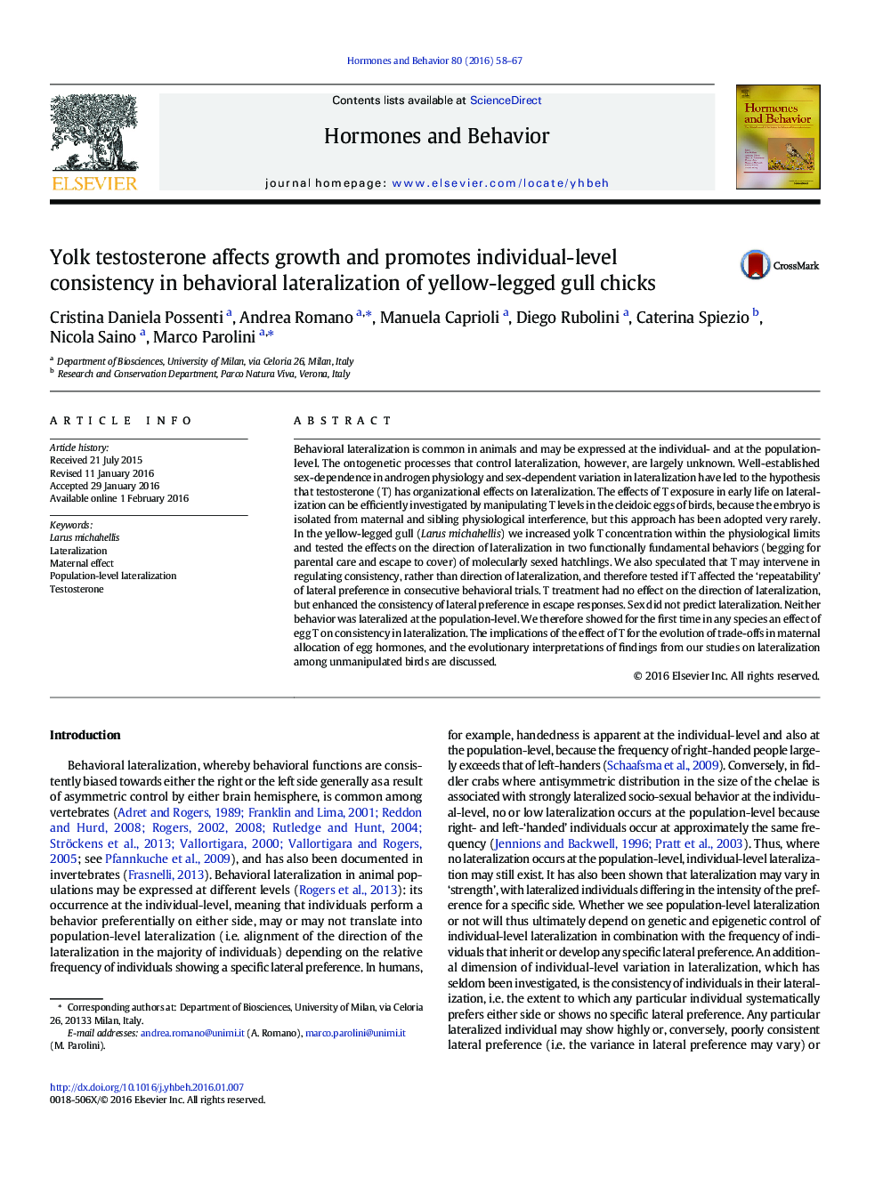 Yolk testosterone affects growth and promotes individual-level consistency in behavioral lateralization of yellow-legged gull chicks