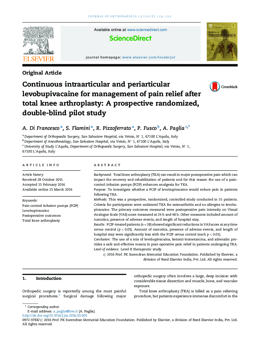 Continuous intraarticular and periarticular levobupivacaine for management of pain relief after total knee arthroplasty: A prospective randomized, double-blind pilot study