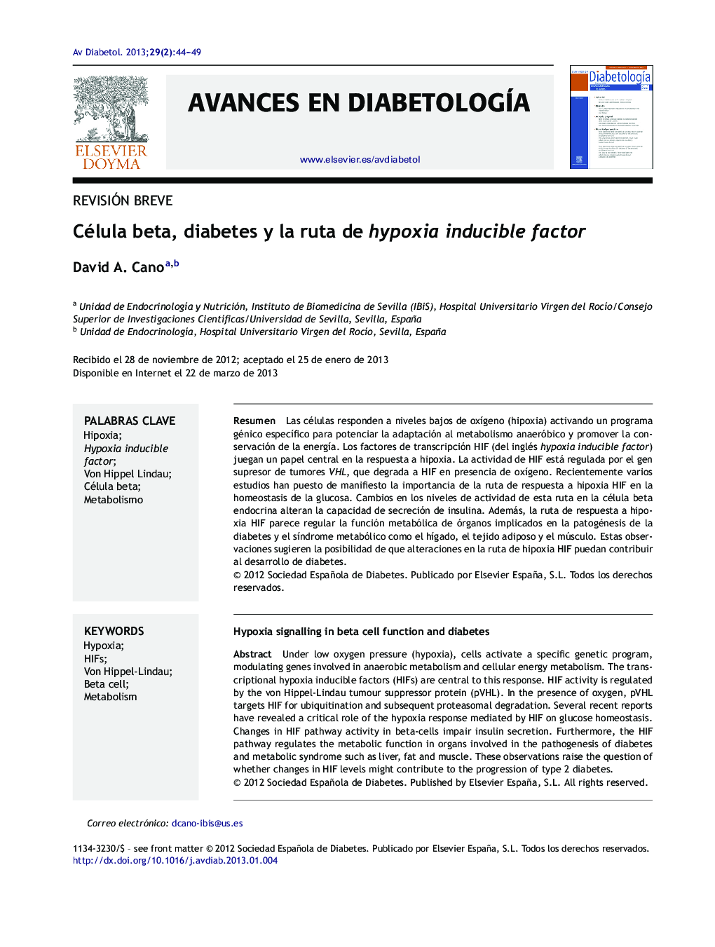 Célula beta, diabetes y la ruta de hypoxia inducible factor