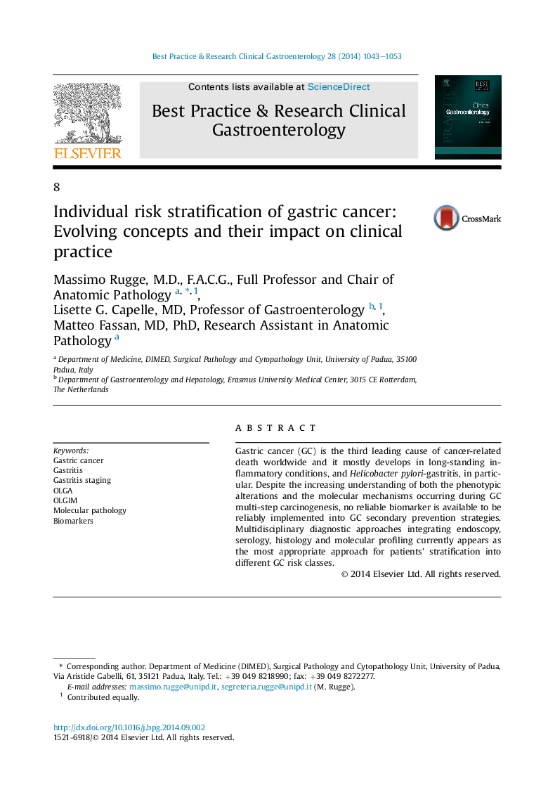 Individual risk stratification of gastric cancer: Evolving concepts and their impact on clinical practice