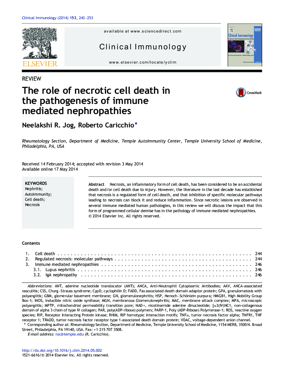 The role of necrotic cell death in the pathogenesis of immune mediated nephropathies