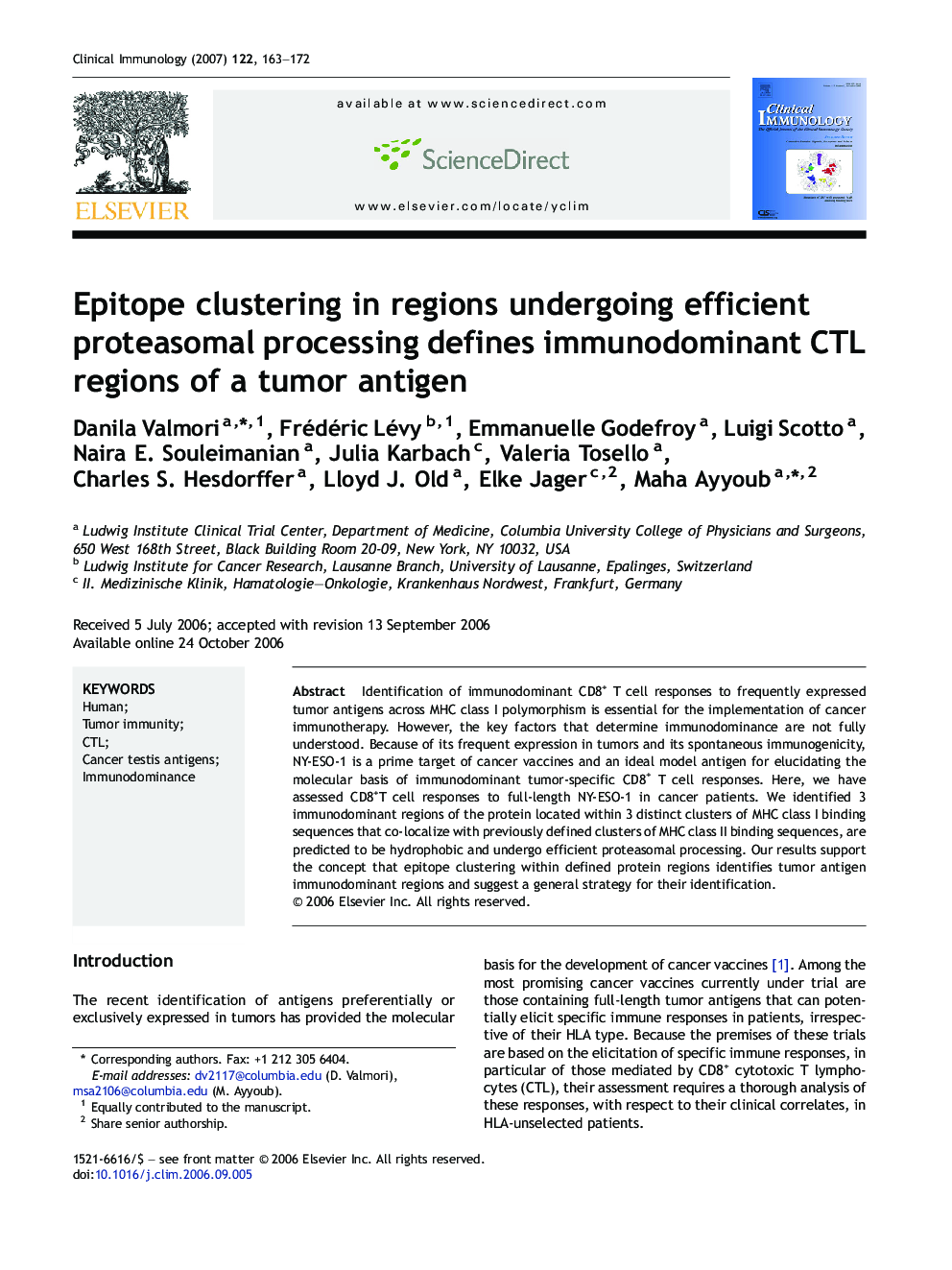 Epitope clustering in regions undergoing efficient proteasomal processing defines immunodominant CTL regions of a tumor antigen