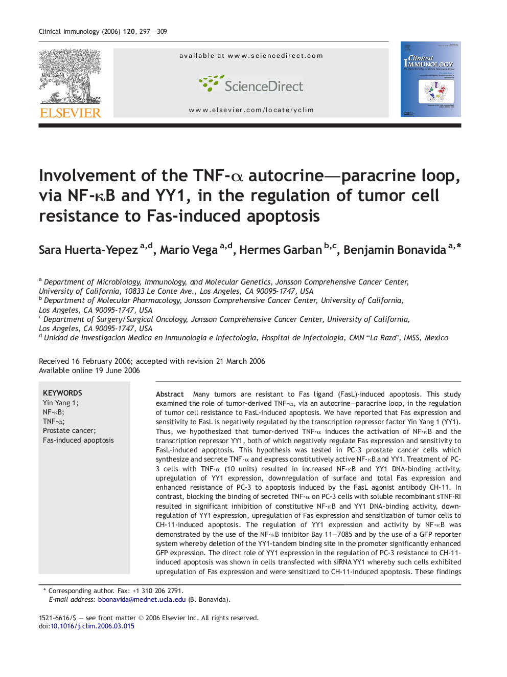 Involvement of the TNF-α autocrine–paracrine loop, via NF-κB and YY1, in the regulation of tumor cell resistance to Fas-induced apoptosis