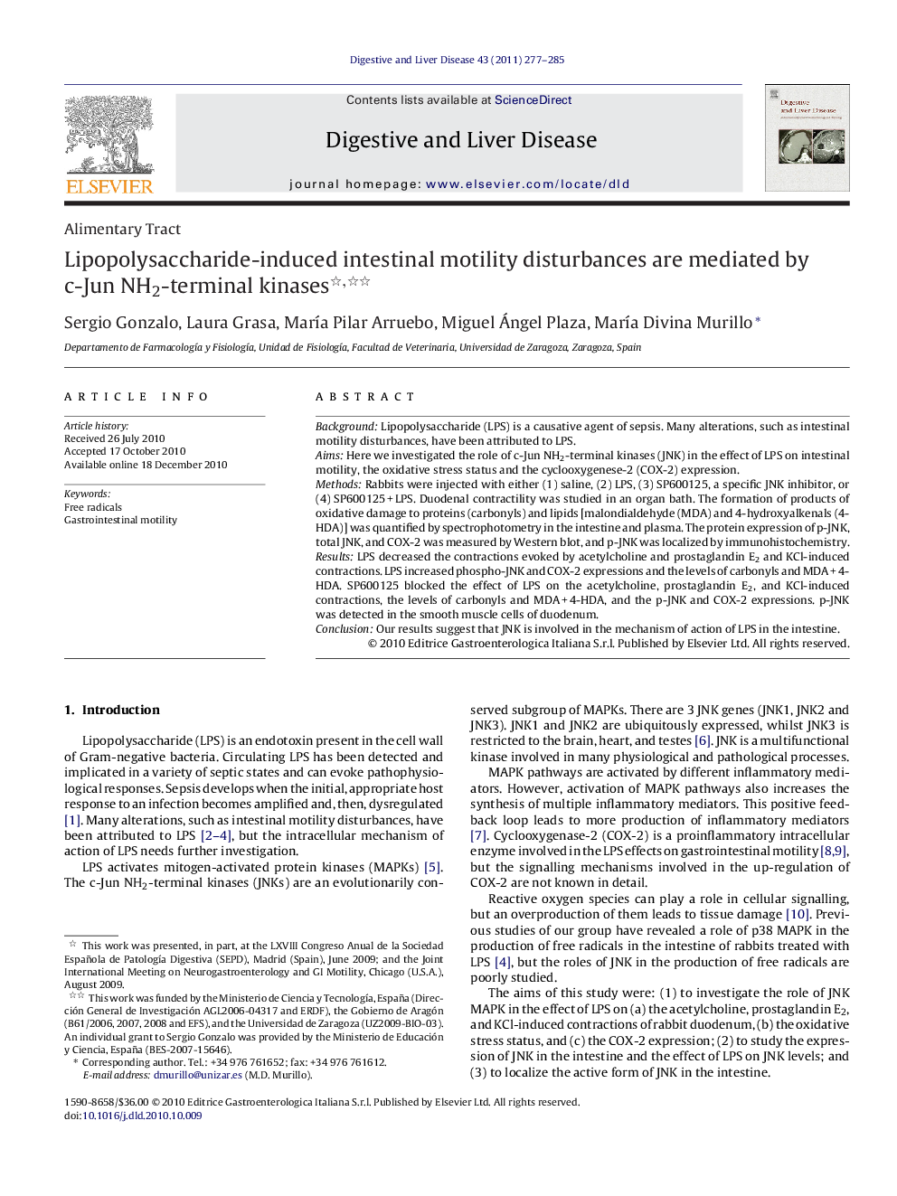 Lipopolysaccharide-induced intestinal motility disturbances are mediated by c-Jun NH2-terminal kinases 