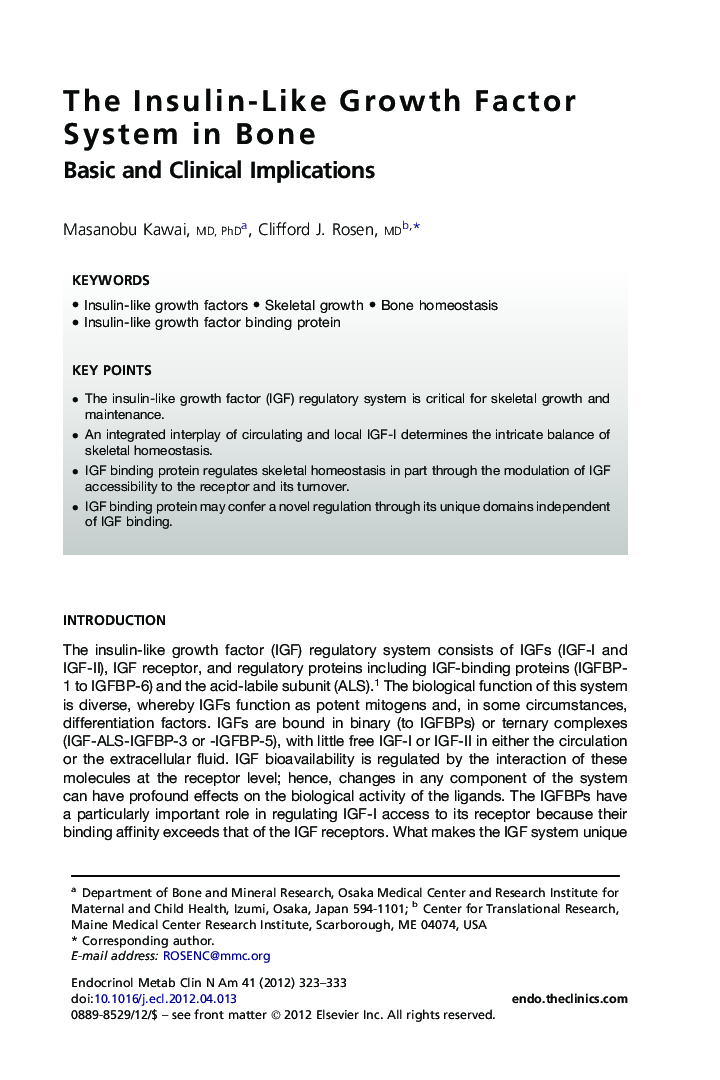 The Insulin-Like Growth Factor System in Bone