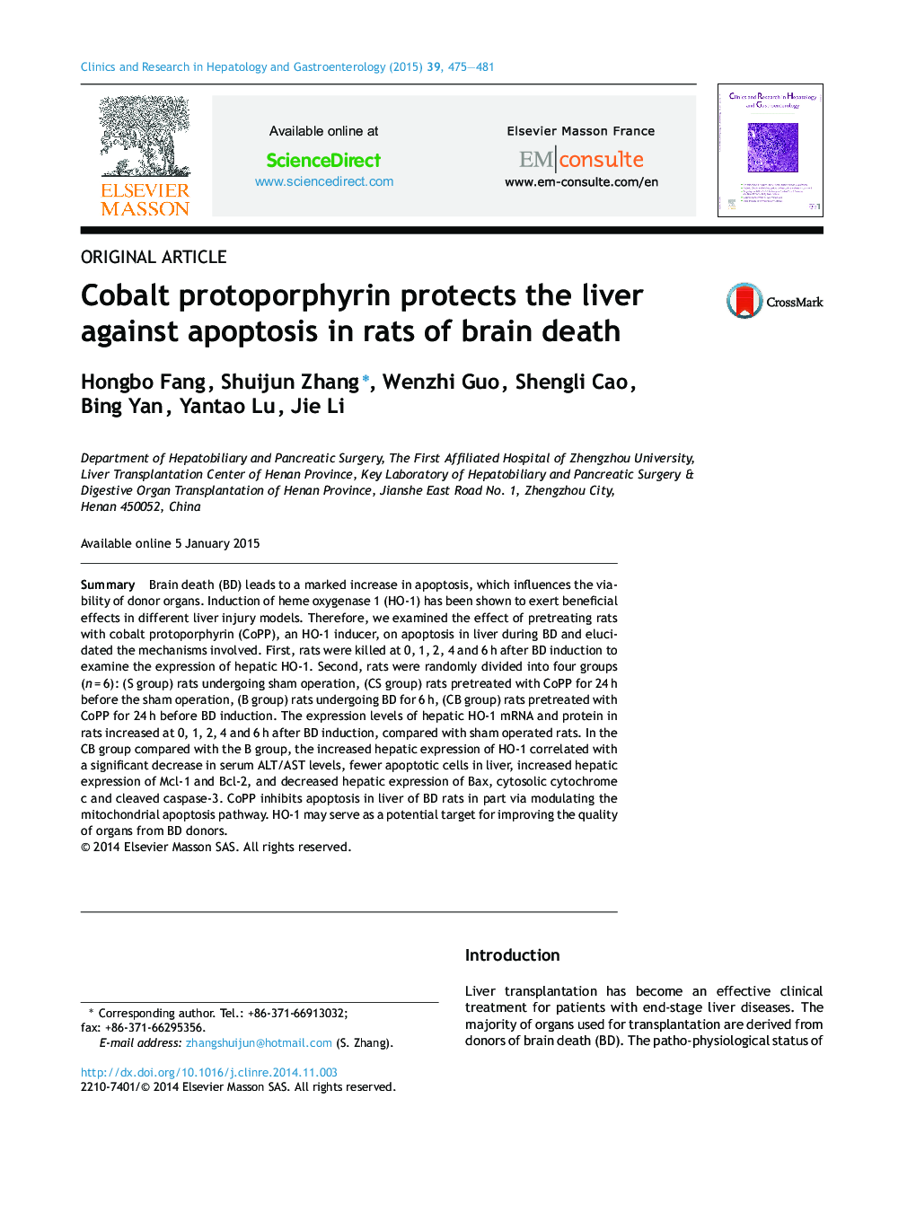 Cobalt protoporphyrin protects the liver against apoptosis in rats of brain death