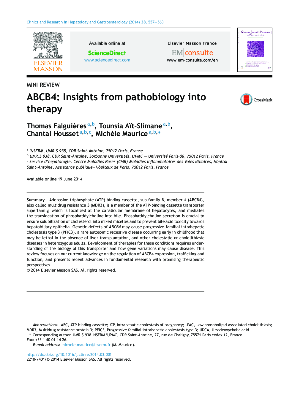 ABCB4: Insights from pathobiology into therapy