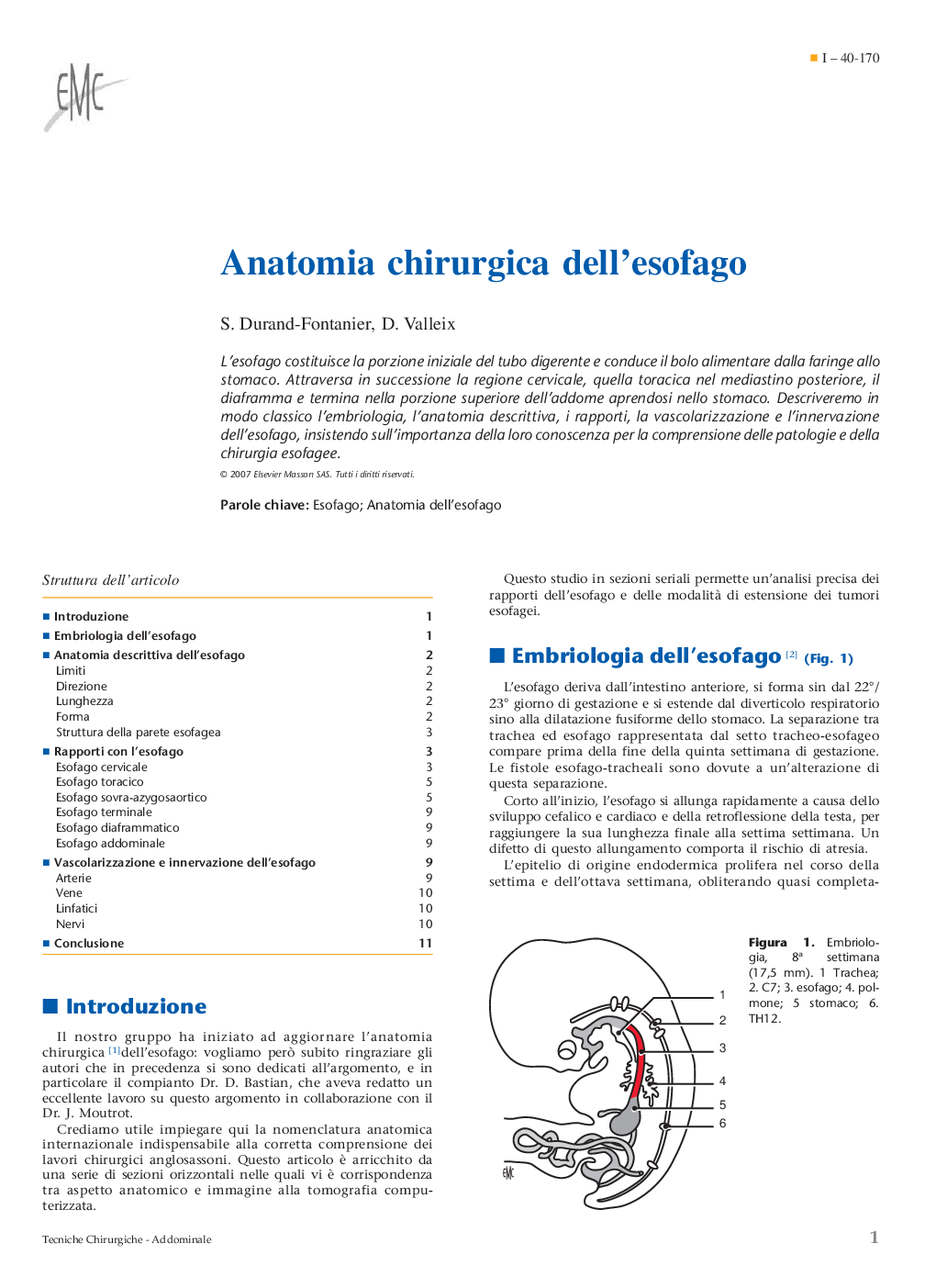 Anatomia chirurgica dell'esofago