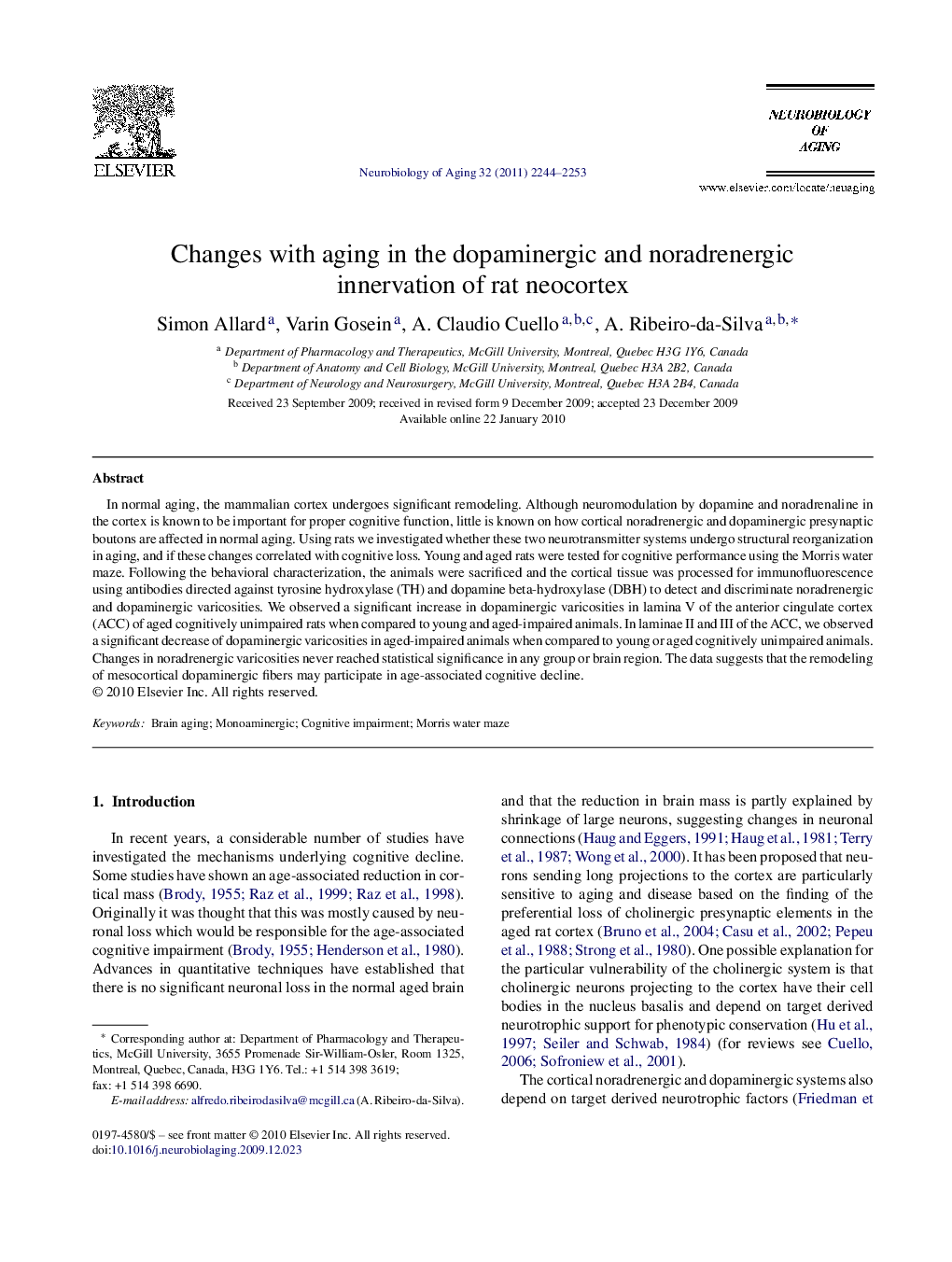 Changes with aging in the dopaminergic and noradrenergic innervation of rat neocortex