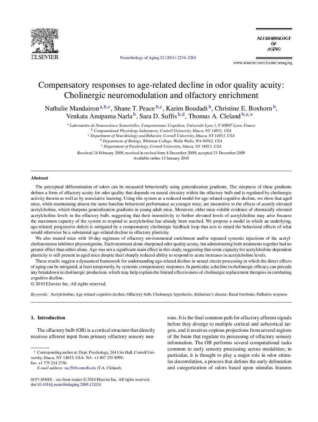 Compensatory responses to age-related decline in odor quality acuity: Cholinergic neuromodulation and olfactory enrichment