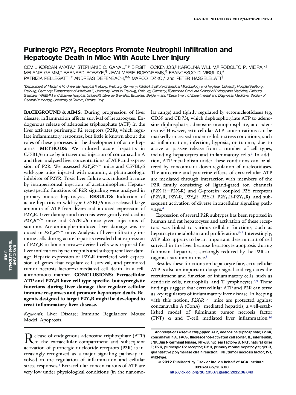 Purinergic P2Y2 Receptors Promote Neutrophil Infiltration and Hepatocyte Death in Mice With Acute Liver Injury