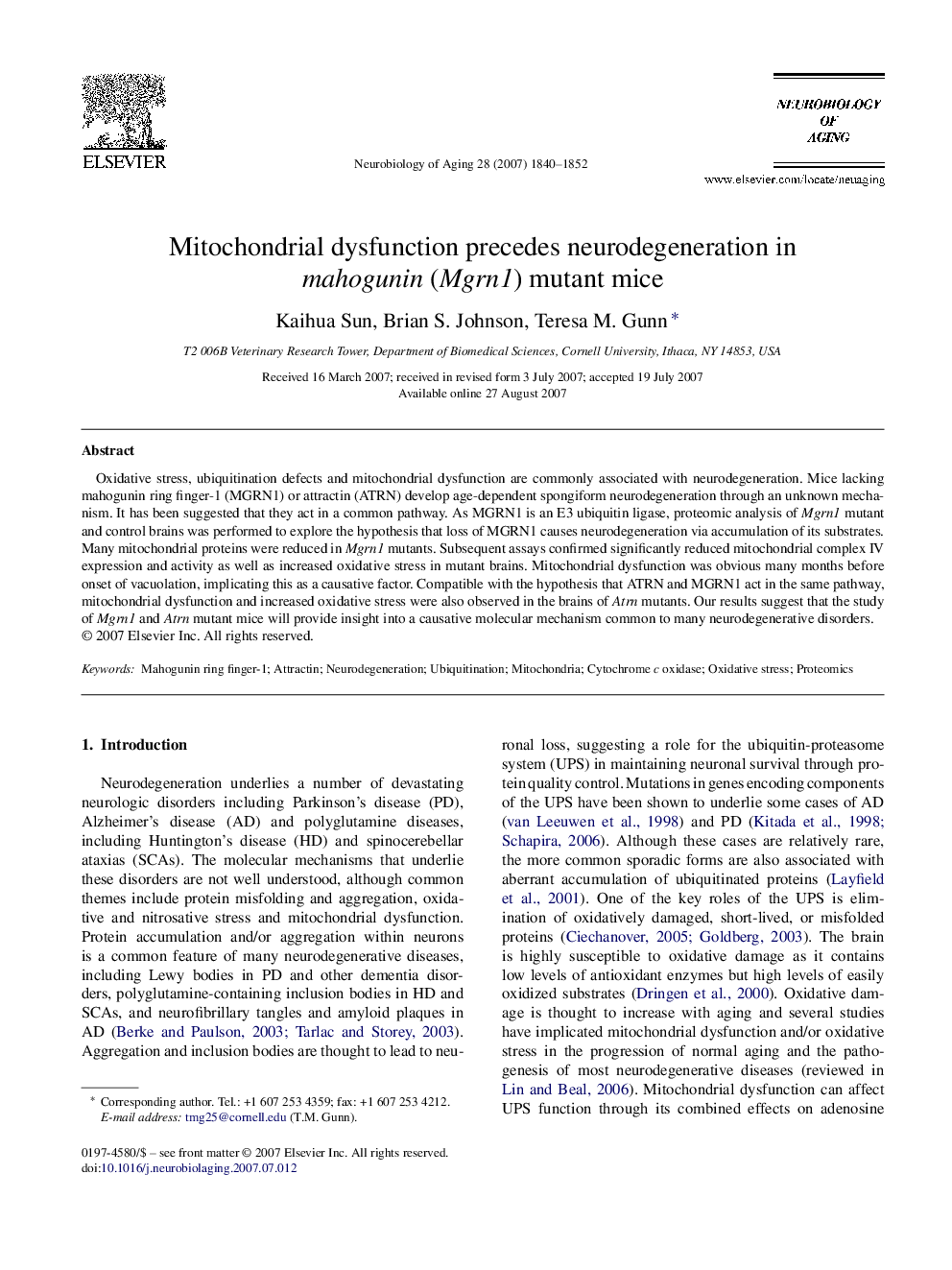 Mitochondrial dysfunction precedes neurodegeneration in mahogunin (Mgrn1) mutant mice