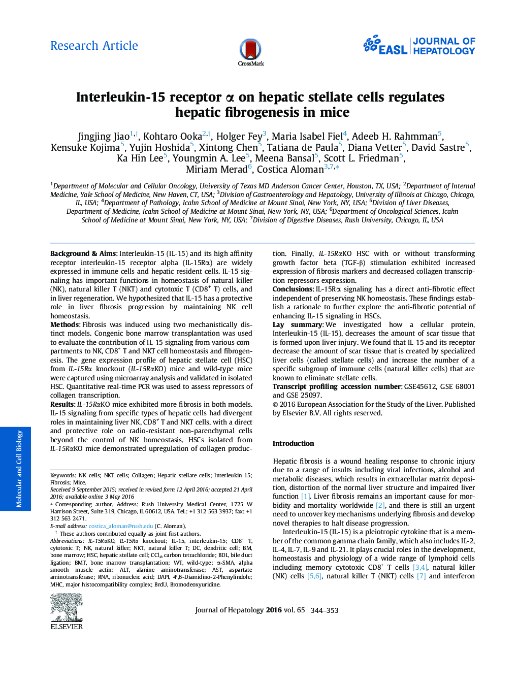 Interleukin-15 receptor α on hepatic stellate cells regulates hepatic fibrogenesis in mice