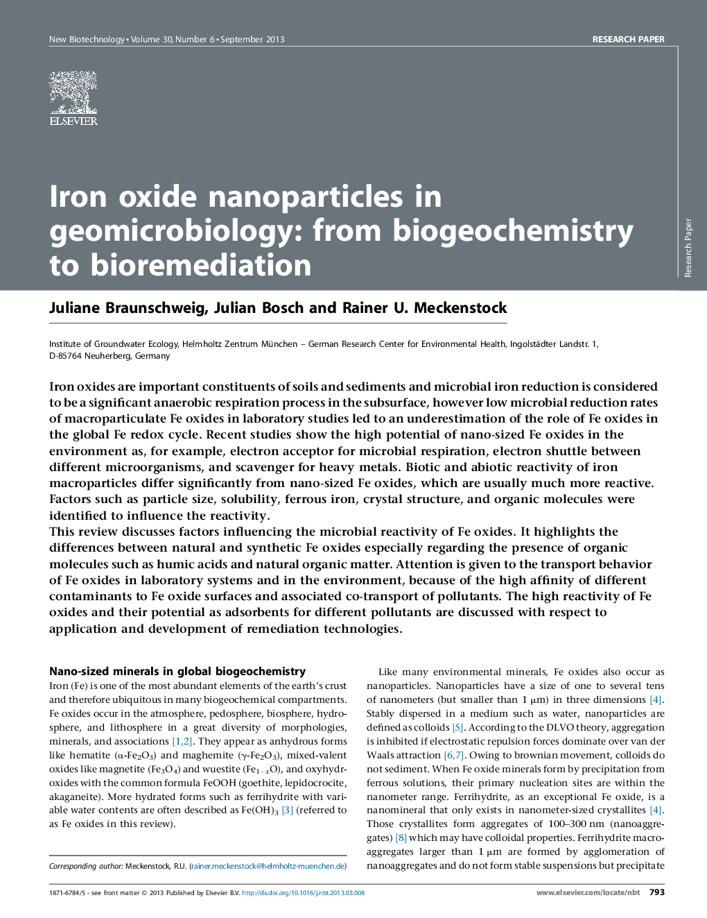 Iron oxide nanoparticles in geomicrobiology: from biogeochemistry to bioremediation