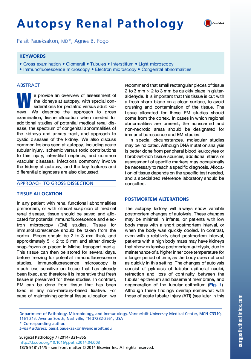 Autopsy Renal Pathology