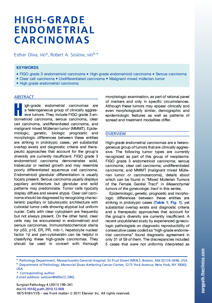 High-Grade Endometrial Carcinomas