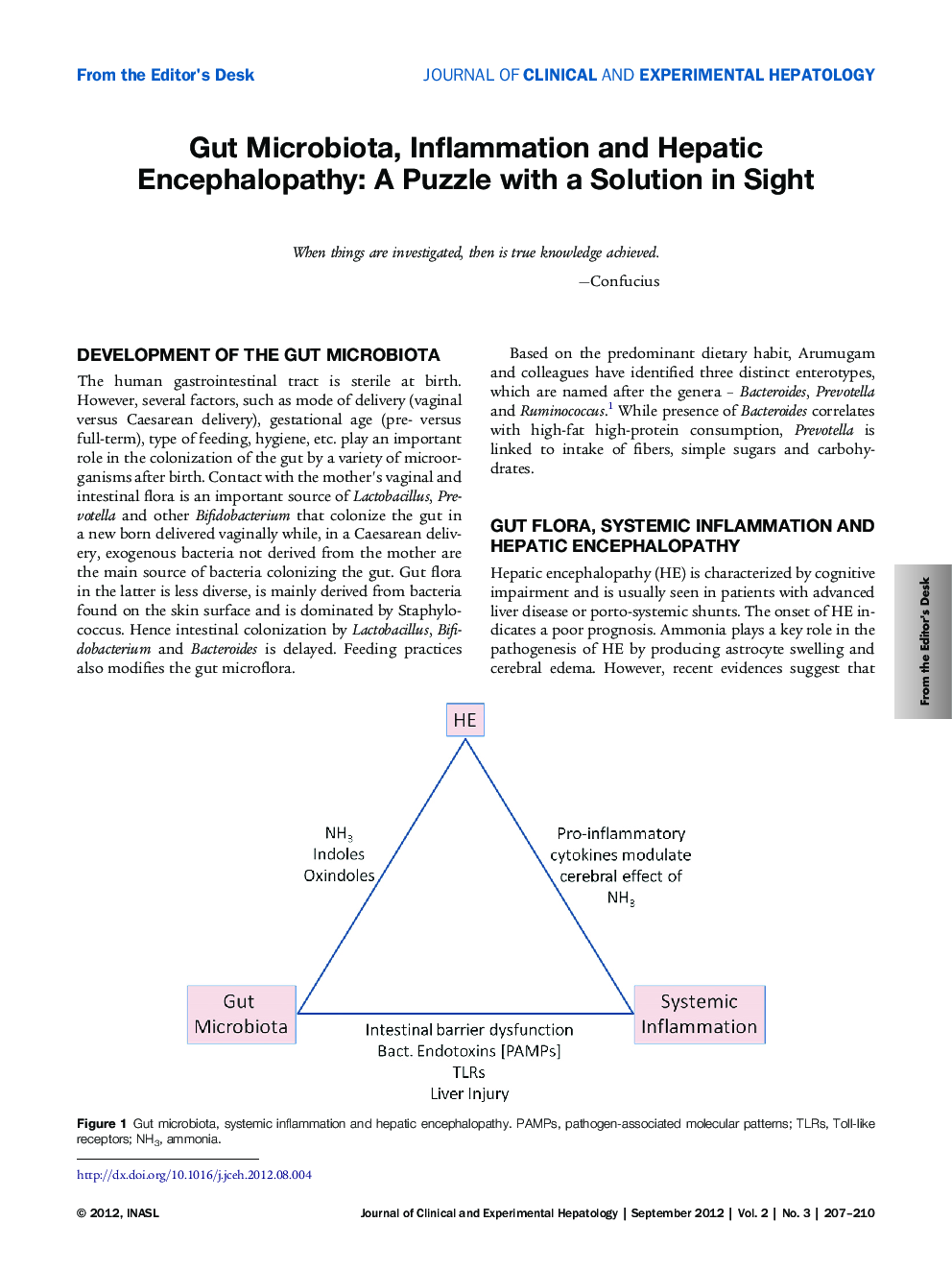 Gut Microbiota, Inflammation and Hepatic Encephalopathy: A Puzzle with a Solution in Sight