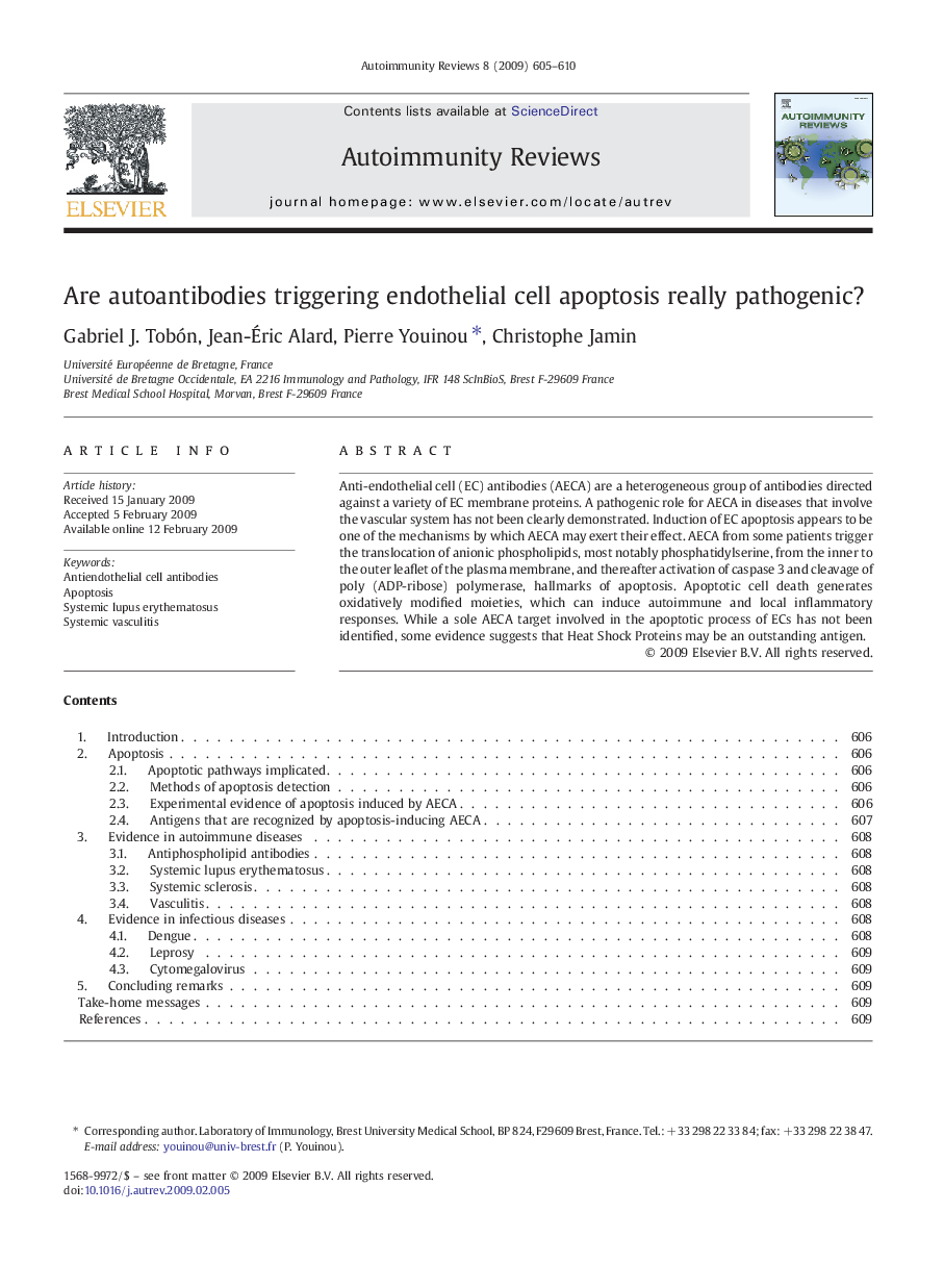 Are autoantibodies triggering endothelial cell apoptosis really pathogenic?