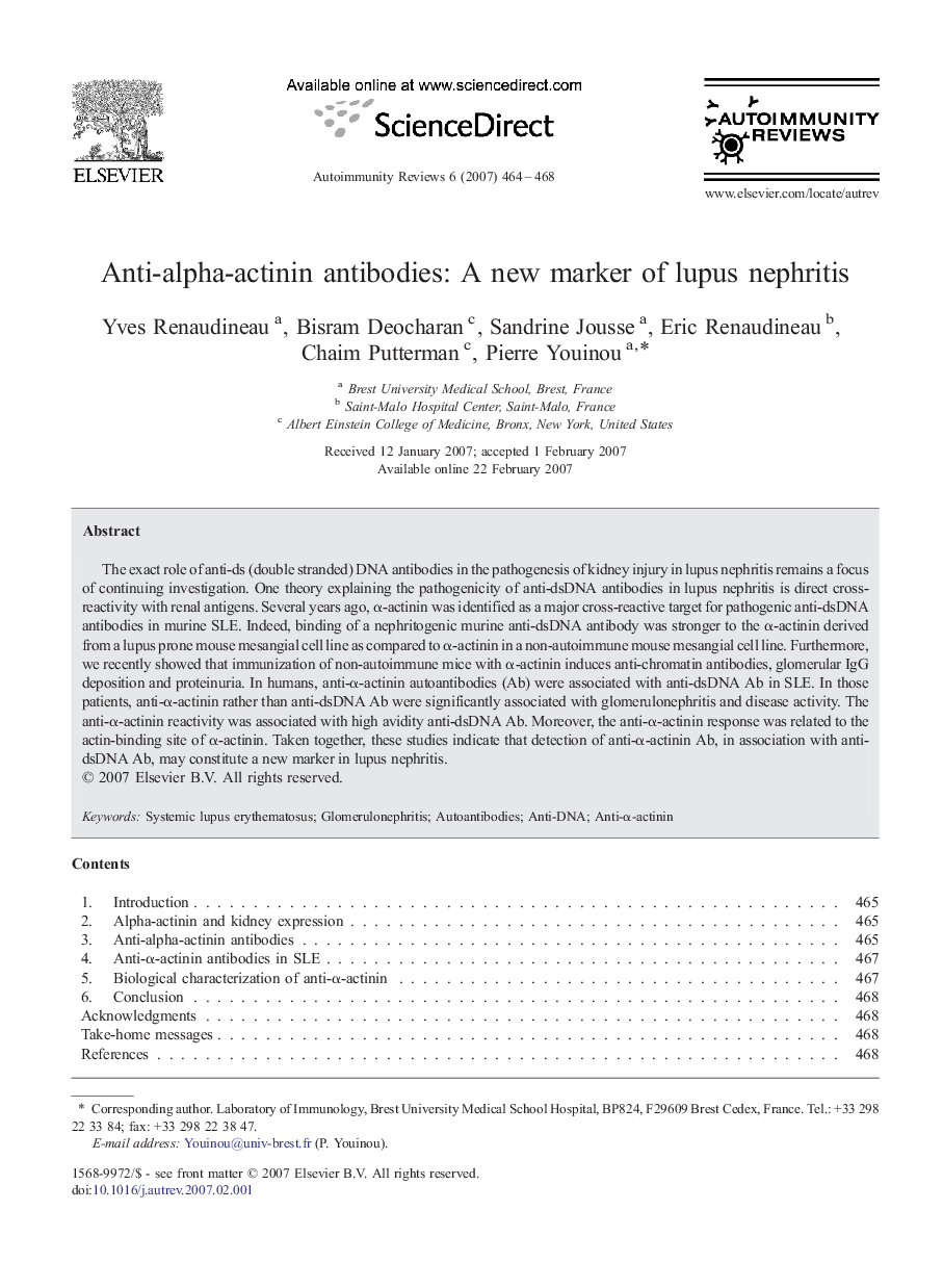 Anti-alpha-actinin antibodies: A new marker of lupus nephritis