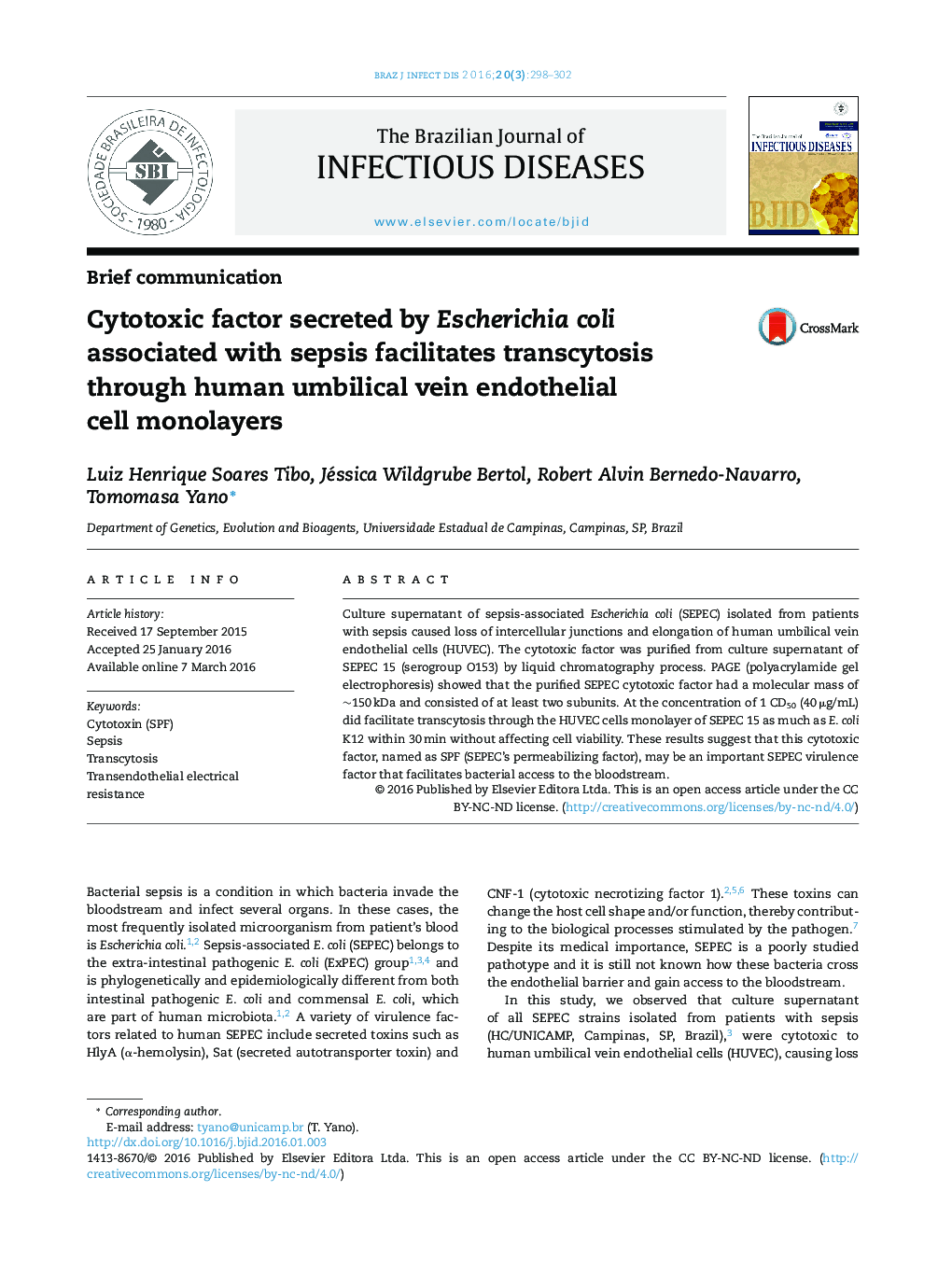 Cytotoxic factor secreted by Escherichia coli associated with sepsis facilitates transcytosis through human umbilical vein endothelial cell monolayers