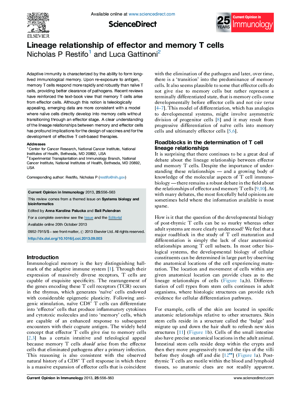 Lineage relationship of effector and memory T cells