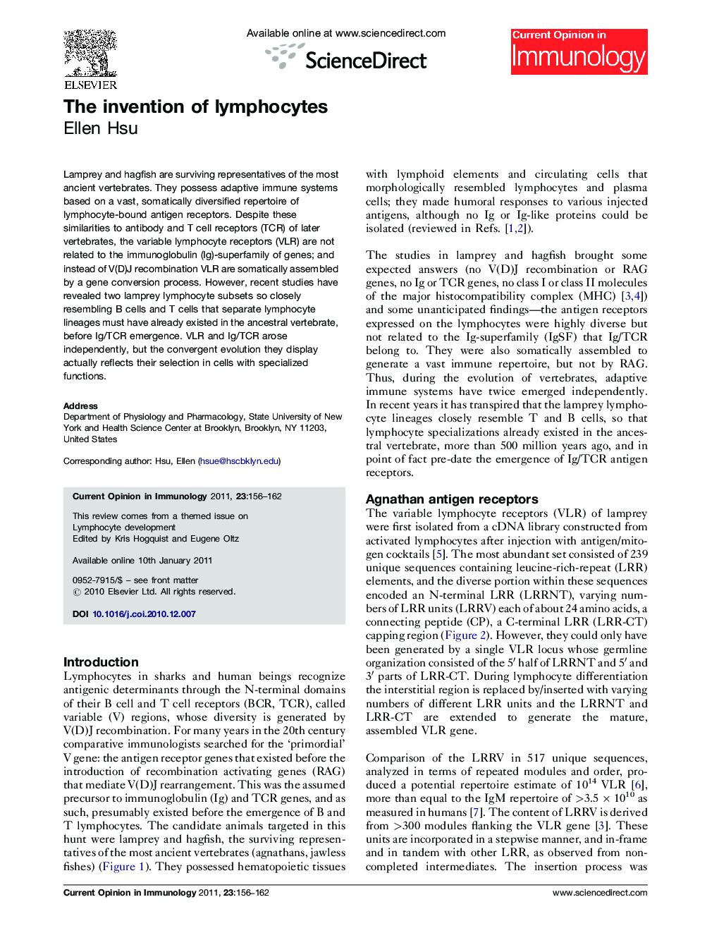 The invention of lymphocytes