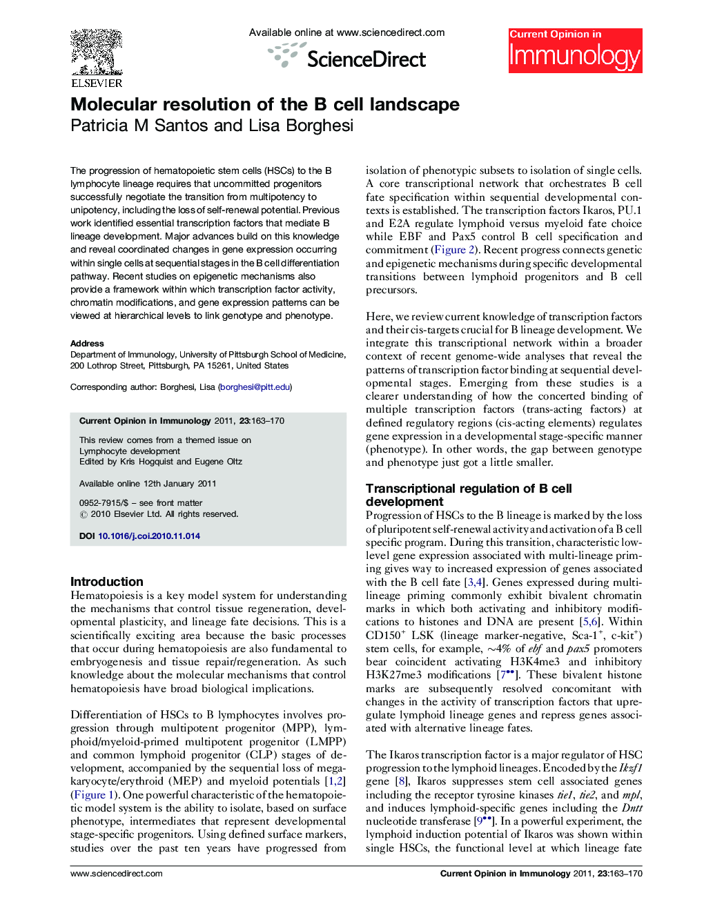 Molecular resolution of the B cell landscape