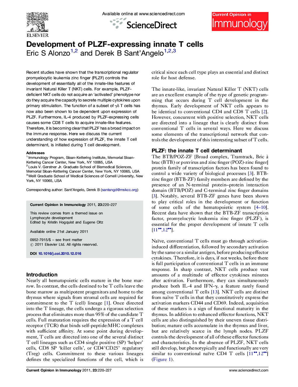 Development of PLZF-expressing innate T cells