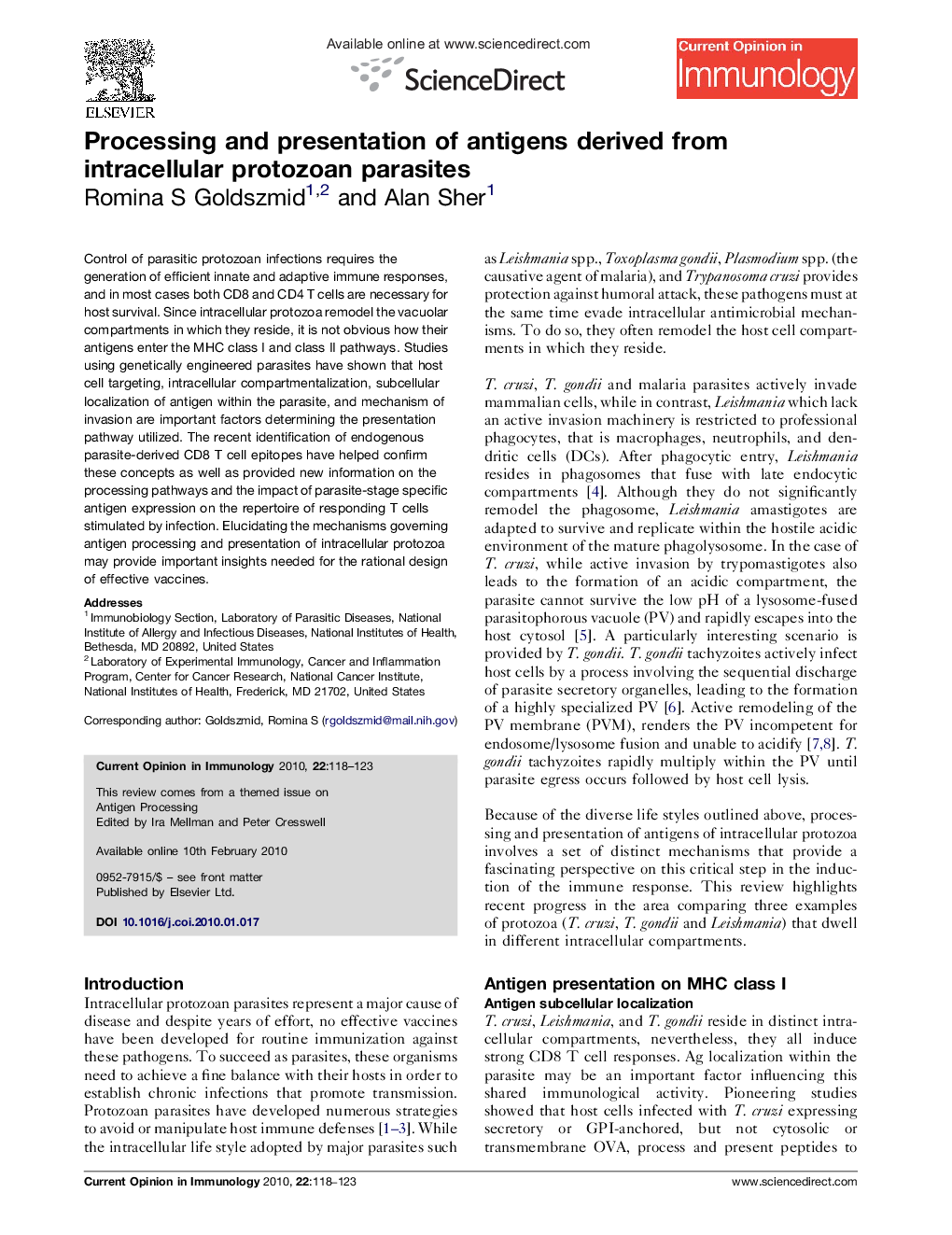 Processing and presentation of antigens derived from intracellular protozoan parasites