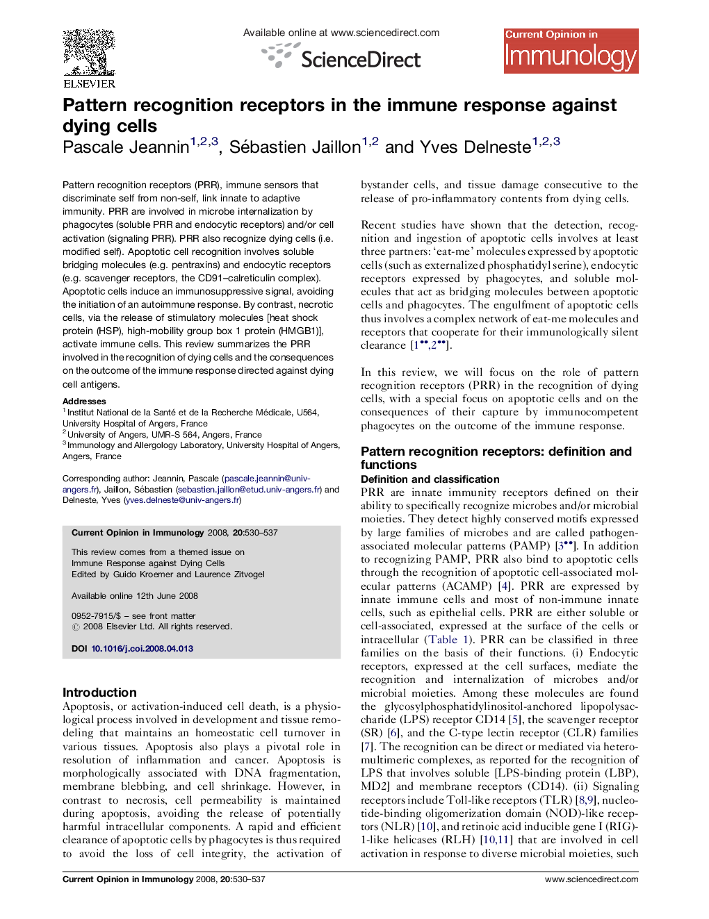 Pattern recognition receptors in the immune response against dying cells
