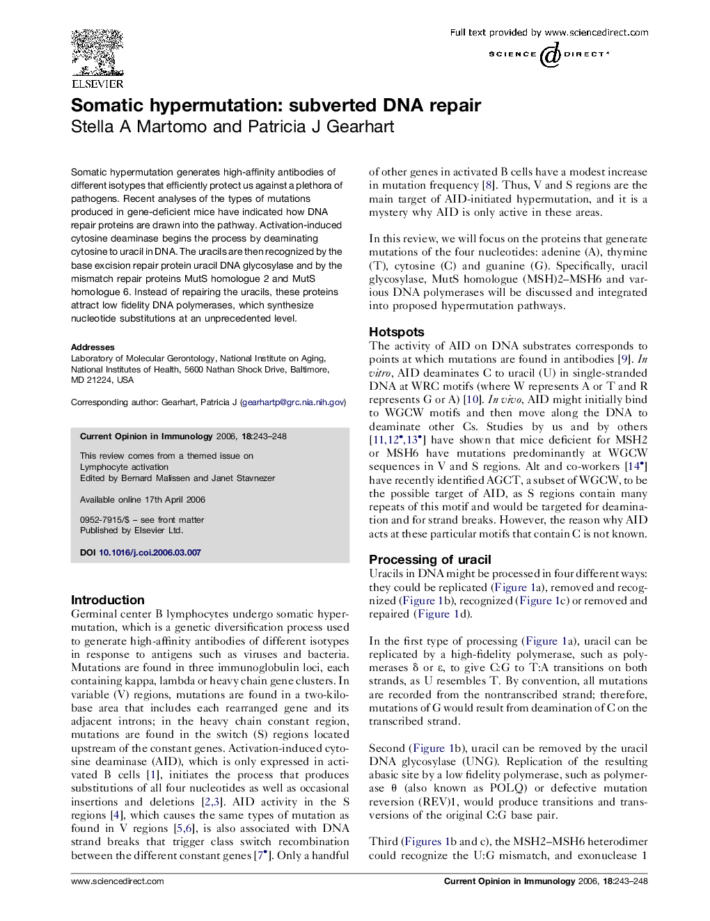 Somatic hypermutation: subverted DNA repair