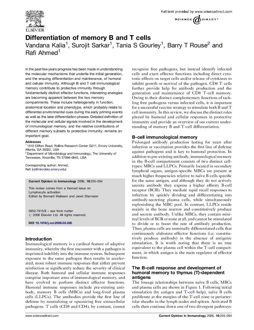 Differentiation of memory B and T cells
